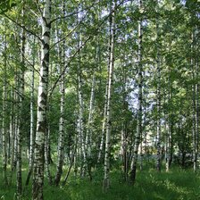 край родной