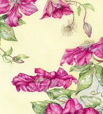 Схема вышивки «300076»