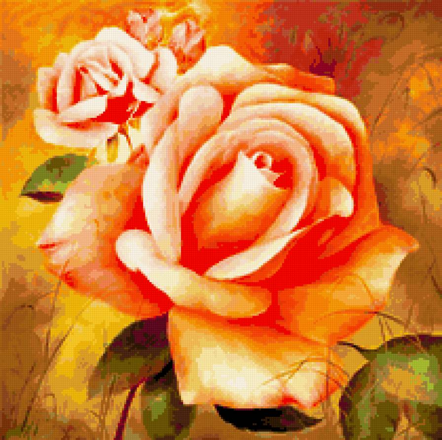 Чайная роза - роза, цветы - предпросмотр