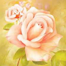 Схема вышивки «Чайная роза»