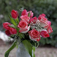 Схема вышивки «розы»