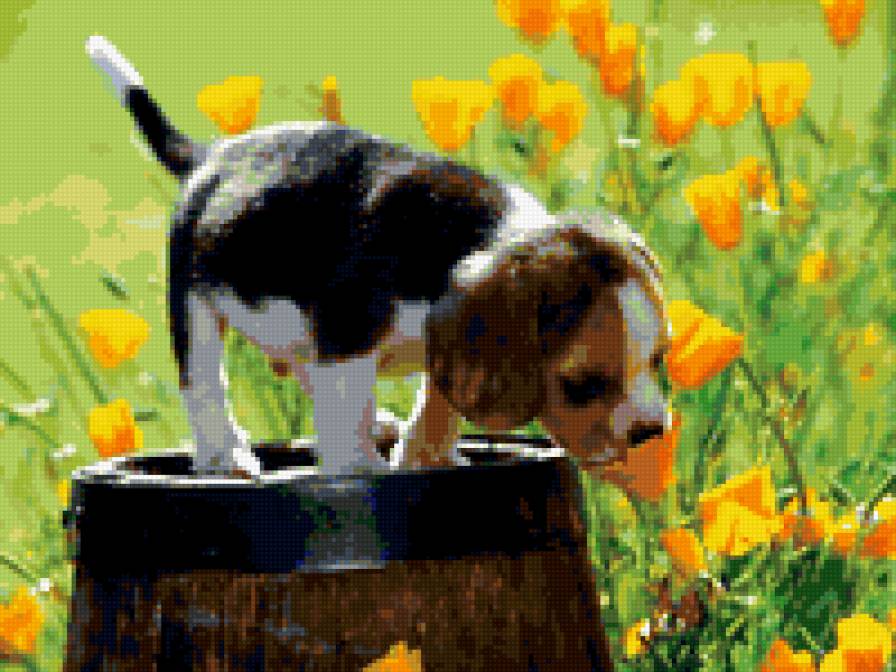 цветы любят все - природа. цветы. животные. щенок - предпросмотр