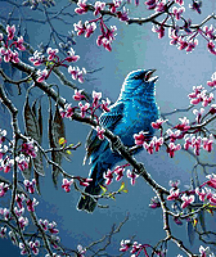 Синяя птица - красота, пернатые - предпросмотр