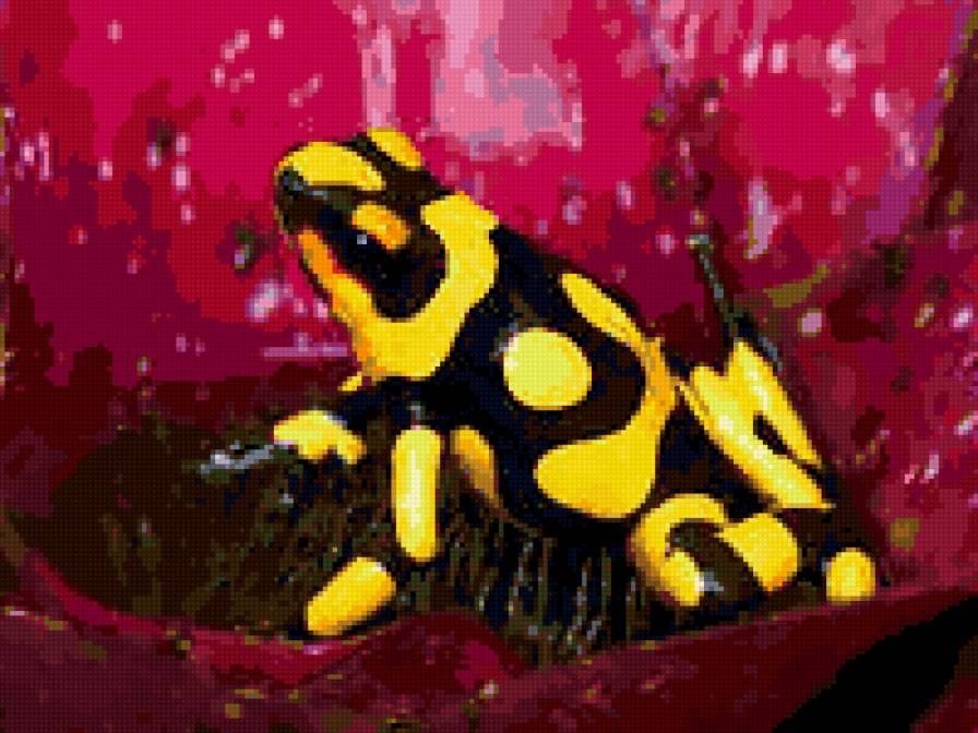 лягушка на цветке - лягушка.цветок - предпросмотр