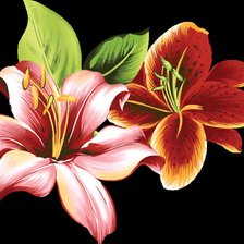 Схема вышивки «лилии»