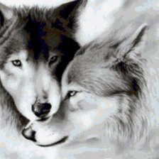 Схема вышивки «волки»