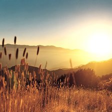 Схема вышивки «поле вечером»