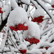 Схема вышивки «зима»