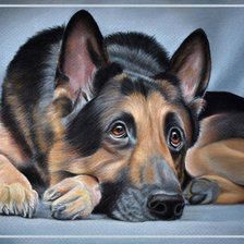 Схема вышивки «овчарка2»