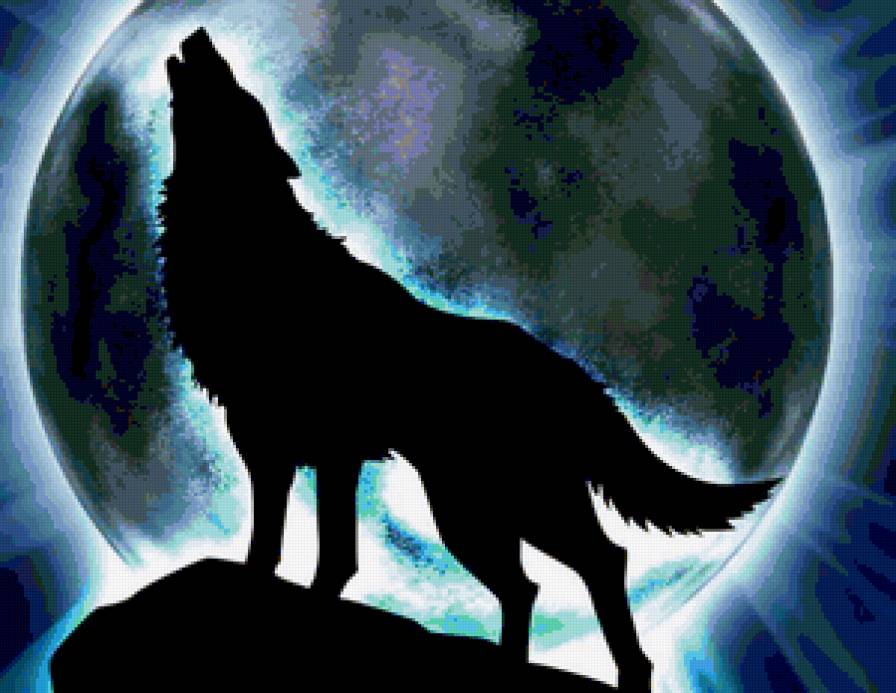 волк - предпросмотр