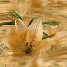 Схема вышивки «лилия»