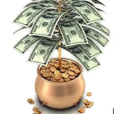 Схема вышивки «долларовое дерево 2»