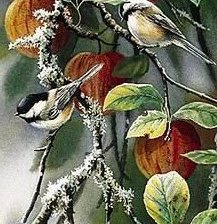 Схема вышивки «синички на яблоне»