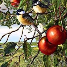 Схема вышивки «синички на яблоне»