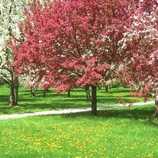 Схема вышивки «весна»