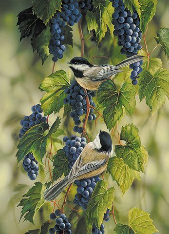 синички - си - оригинал