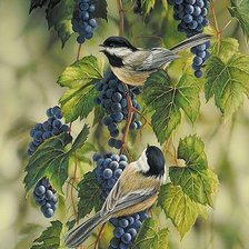 Схема вышивки «синички»