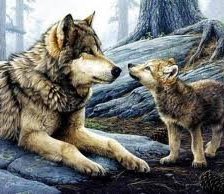 Схема вышивки «волки»