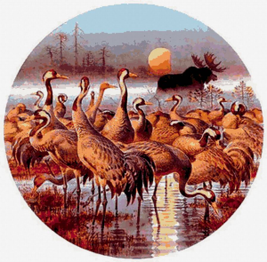 закат на реке - красота - предпросмотр