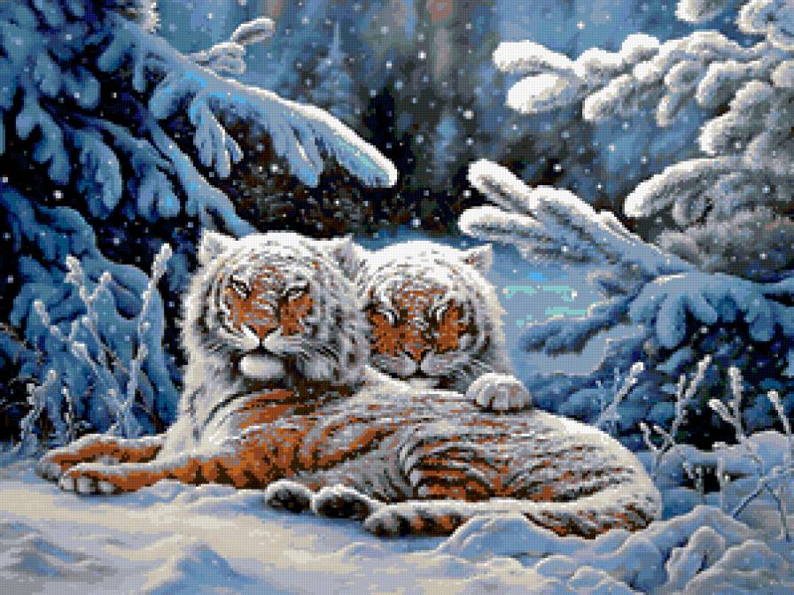 тигры - животные - предпросмотр