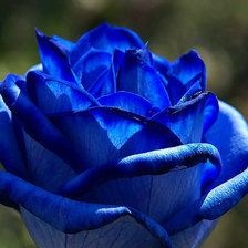 Схема вышивки «№336713»