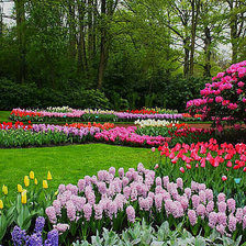 Схема вышивки «№336716»