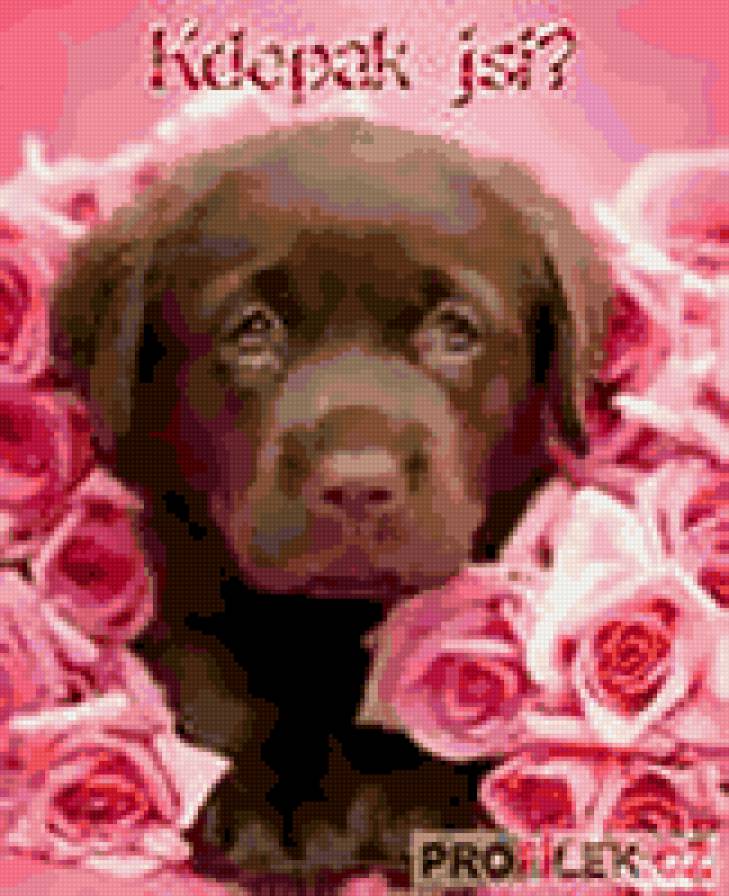 №336726 - предпросмотр