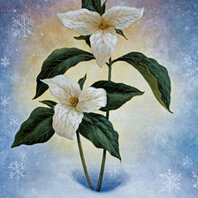 Я из снега к тебе лепестки протяну через много веков...