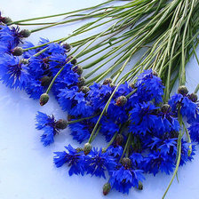 Схема вышивки «№336818»