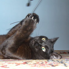 Схема вышивки «№336847»