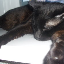 Схема вышивки «№336855»