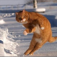 Схема вышивки «потанцуем...»