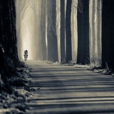 Схема вышивки «Аллея»