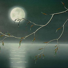 Схема вышивки «Луна»