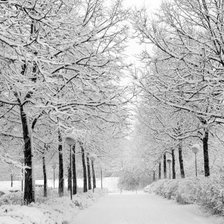 Схема вышивки «Зимние деревья»