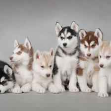 Схема вышивки «Большая семья»