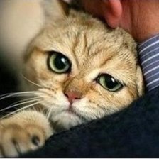 ... а еще она меня...