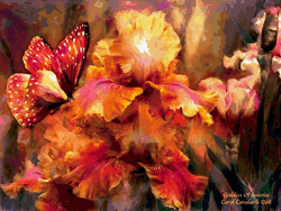 ирисы - ирисы, бабочка, цветы - предпросмотр