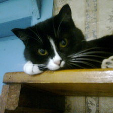 Схема вышивки «асютка»