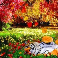 Схема вышивки «блаженство»