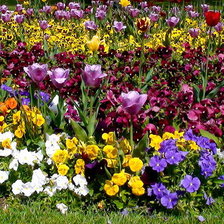 Схема вышивки «весенняя клумба»