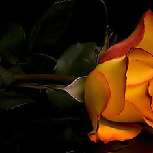 Схема вышивки «цветы»