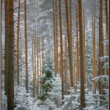 Схема вышивки «зима»