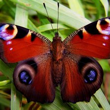 Схема вышивки «пейзаж»