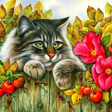 Схема вышивки «Кот»