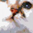 Предпросмотр схемы вышивки «котик» (№337350)