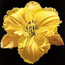 Схема вышивки «№337358»