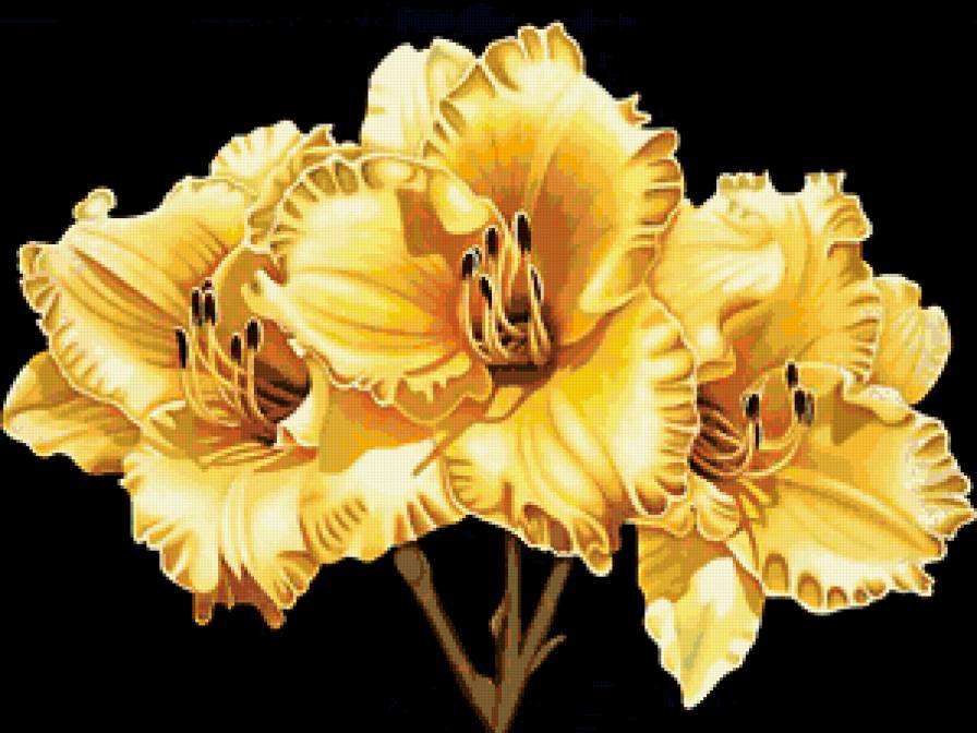 №337372 - предпросмотр