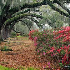 Схема вышивки «№337379»