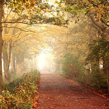 Схема вышивки «№337383»